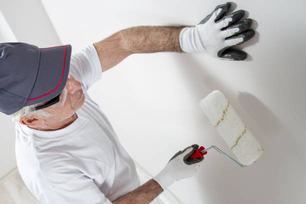 Best Post-Construction Mold Inspection  in El Mirage, AZ