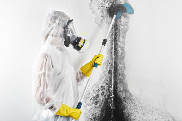 Best Mold Remediation for Healthcare Facilities  in El Mirage, AZ
