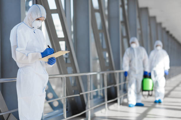 Best Mold Removal for HVAC Installations  in El Mirage, AZ