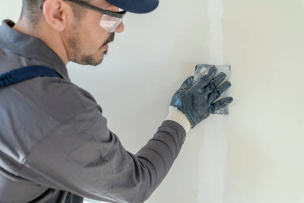 Best Mold Odor Removal Services  in El Mirage, AZ