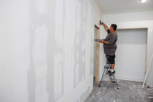 Best Mold Damage Restoration  in El Mirage, AZ