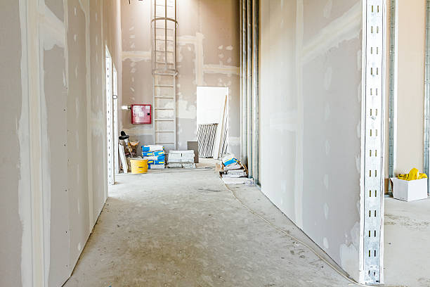 Best Attic Mold Removal  in El Mirage, AZ